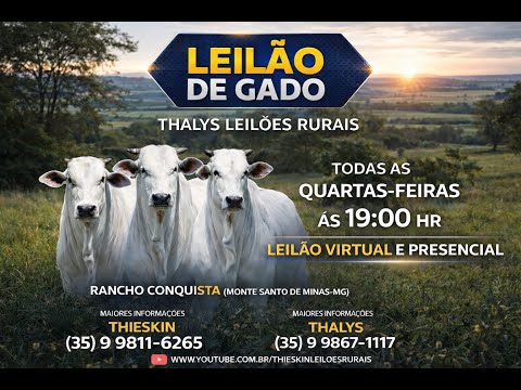 THALYS LEILÕES RURAIS MONTE SANTO DE MINAS 27/05/2026