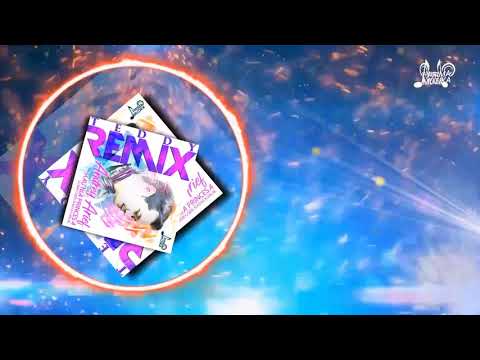 HAU NIA PRINCESA (ANDREY ARIEF) | TEDDY MUSIC REMIX