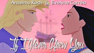 【Duet】Pocahontas - If I Never Knew You 【Cover】