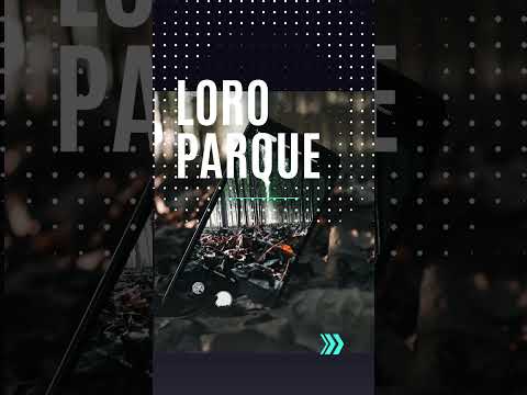 Os 5 melhores zoológicos do mundo