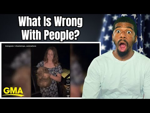 Influencer Under Fire For Picking Up Wild Baby Wombat in Australia | American Reacts