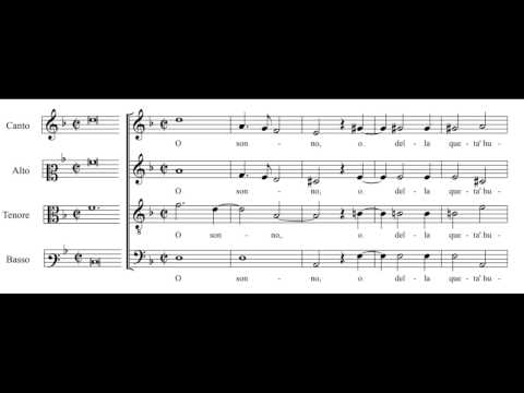 Cipriano de Rore: O sonno - Daedalus