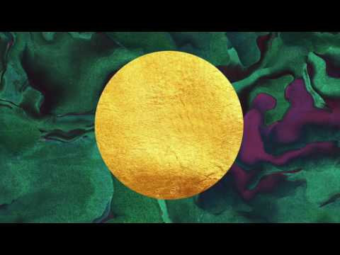 Felix Pallas - SIMILARITIES (Official Audio)