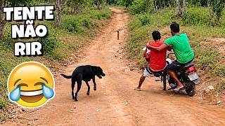 TENTE NÃO RIR 😂 O QUE PODERIA DAR ERRADO? ABSOLUTAMENTE TUDO! 😅 - #69