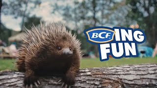 BCFING FUN IS BACK! 2025 BCF Ad feat. vocals by Lee Kernaghan