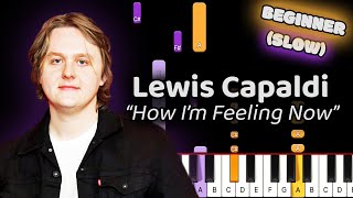 Lewis Capaldi How I'm Feeling Now Piano Tutorial! (Beginner) SLOW 50% Speed