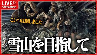 死にゲー1ミリも知らん奴が雪山を目指す #22【 ELDEN RING 】