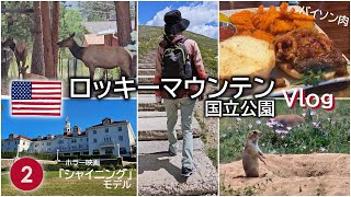 【コロラド②】アメリカの大自然を感じる旅！野生動物にばったり！ロッキーマウンテン国立公園