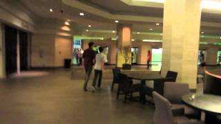 Just Like Two Horses... Two Horses In The Wind