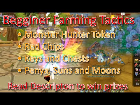 Insanity Flyff - Beginner Farming Tactics