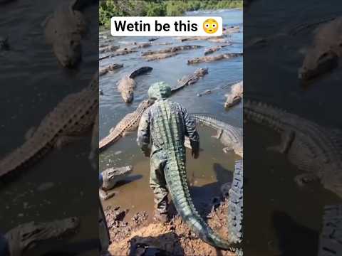 Wetin be this #animals #anime #shorts