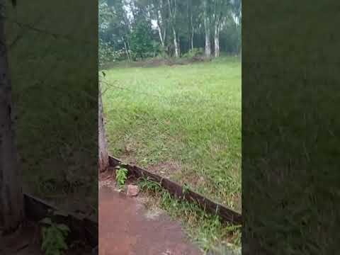 se largo la lluvia acá en 25 de mayo misiones