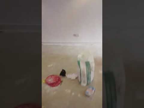 Decent 3 bedrooms ground flat @Ifako Gbagada