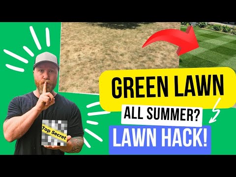The Secret to a Greener Lawn All Summer — And It’s NOT Fertilizer