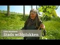 Wildplukken  met Ellen Mookhoek