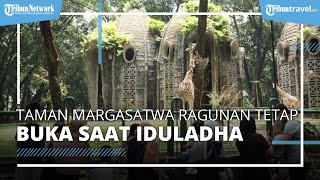 Taman Margasatwa Ragunan Tetap Buka di Hari Raya Iduladha 2022, Simak Harga Tiket Terbaru
