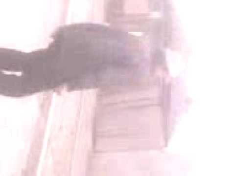 Tolea-o cauta pe magda[Vidin braila]