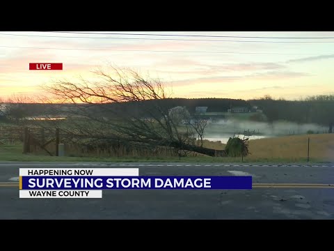 Storm damage in Waynesboro