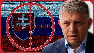 Pro-Ukrainian Liberal tries to ASSASSINATE Slovakia