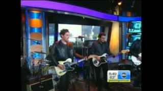 The Wallflowers - Love is a Country