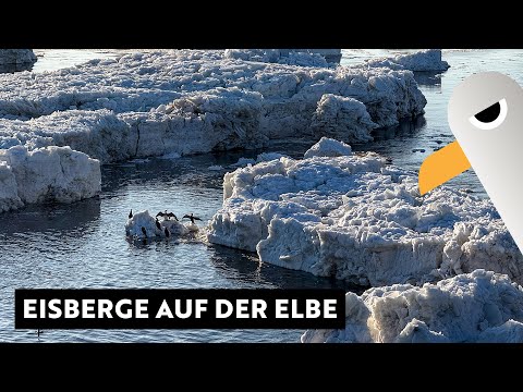 Geesthacht: Meterhohe Eisberge auf der Elbe nach Eisbrecher-Einsatz 🥶