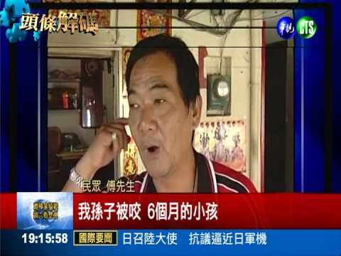 殺傷力大沒天敵 小黑蚊防治妙招