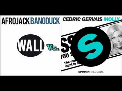 Afrojack vs. Cedric Gervais - Bangduck Molly (Dj Sunset Mashup)