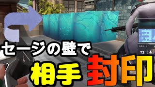 【奇策】セージの壁で相手を閉じ込めるおもしろ戦法【VALORANT】