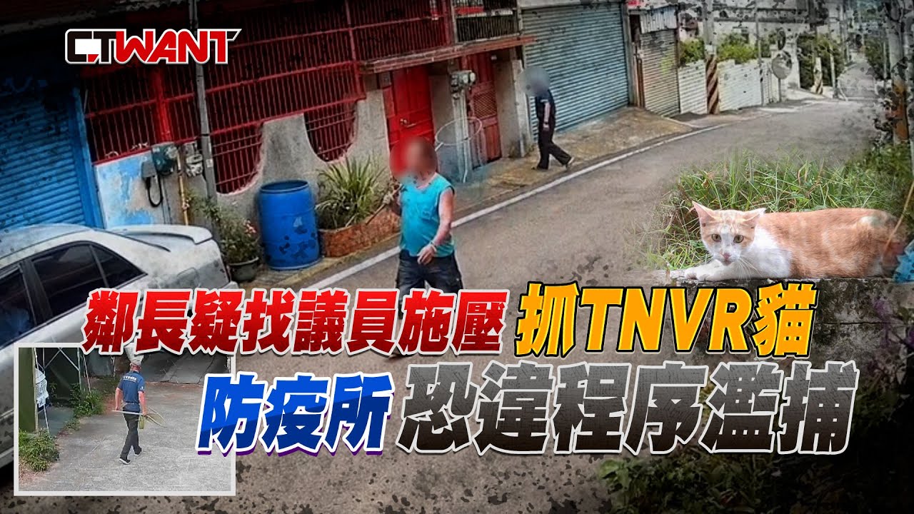 圖說-鄰長疑找議員施壓抓TNVR貓　防疫所恐違程序濫捕