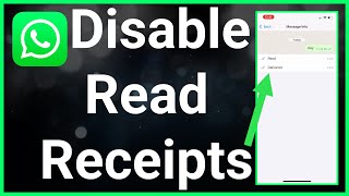 How To Turn Off Read Receipts On WhatsApp