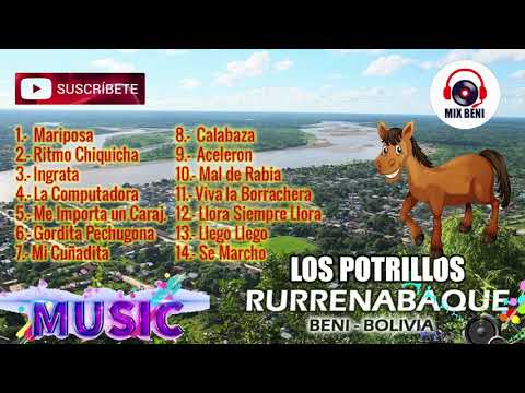 Los Potrillos 2020 Full Mix 2 Merengue No Dejaras de bailar😱💃👫👌🎶🎵🎷