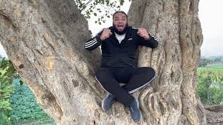 الخطوات السبعة لتحقيق كل أحلام حياتك | #دقيقتين_مع_حازم | الموسم 02 | د . حازم شومان image