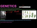 Gr 12 Life Sciences Genetics And Inheritance Part 1