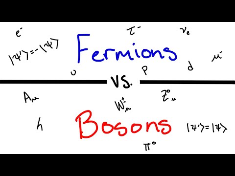 What's the Difference Between Fermions and Bosons?