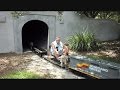 Seaboard System Dog On Train Runs Man Out Of Tunnel