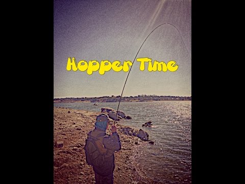 Fly fishing tiempo de hoppers