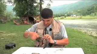 Bind en bosnisk nymf - Tie a bosnian nymph fly