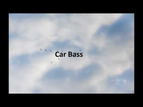 TetriaOculus - TIIT ON TAGASI (Bass Boosted) Car