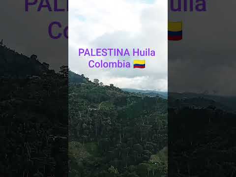palestina Huila Colombia 🇨🇴