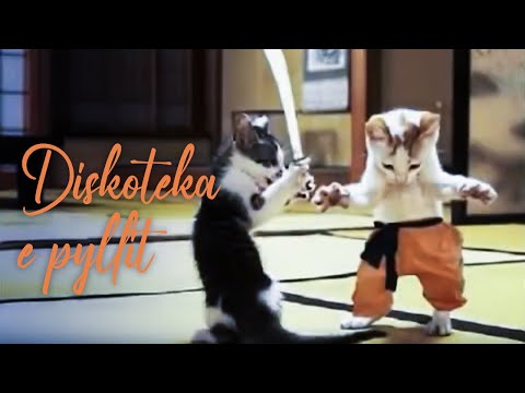 Free Mc's - Diskoteka e pyllit