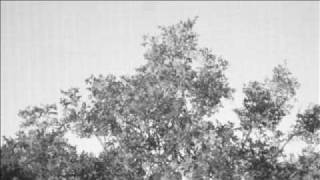 i wanna be your driver