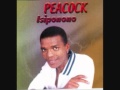 Peacock Umuhle Wmv