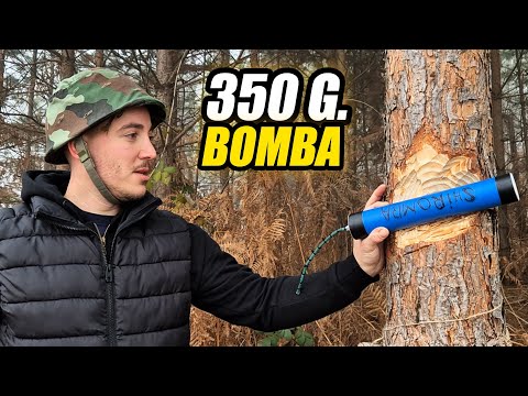 PETARDA SHIROMBA VS VELIKO DRVO !!