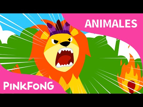 El León | Animales | PINKFONG Canciones Infantiles