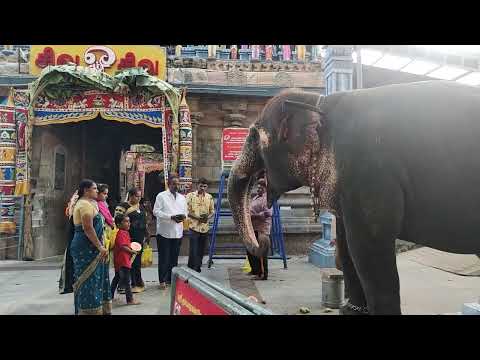 A N SUBRAMANI SIVAGAMI family SANI BAGAVAN THIRUNALLAR