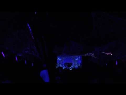 Katayy Festival 2016