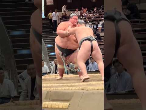 The heaviest sumo wrestler in the world