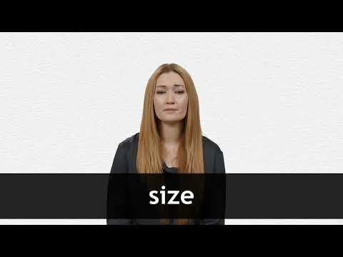 SIZE definition in American English