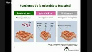 Hablando de la microbiota intestinal y los probióticos con Andreu Prados