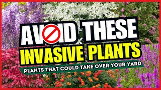 🚫 AVOID THESE ❗️ Top 10 Invasive Plants That Could TAKE OVER Your Yard! 😱💥
